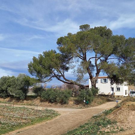 Domaine Saint Augustin Villa Rieux-Minervois Luaran gambar