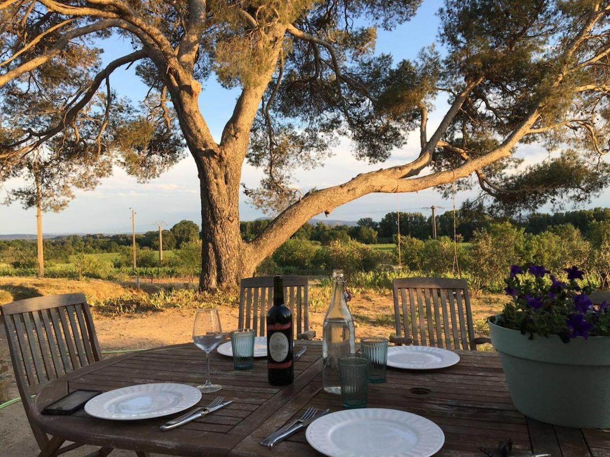Domaine Saint Augustin Villa Rieux-Minervois Luaran gambar