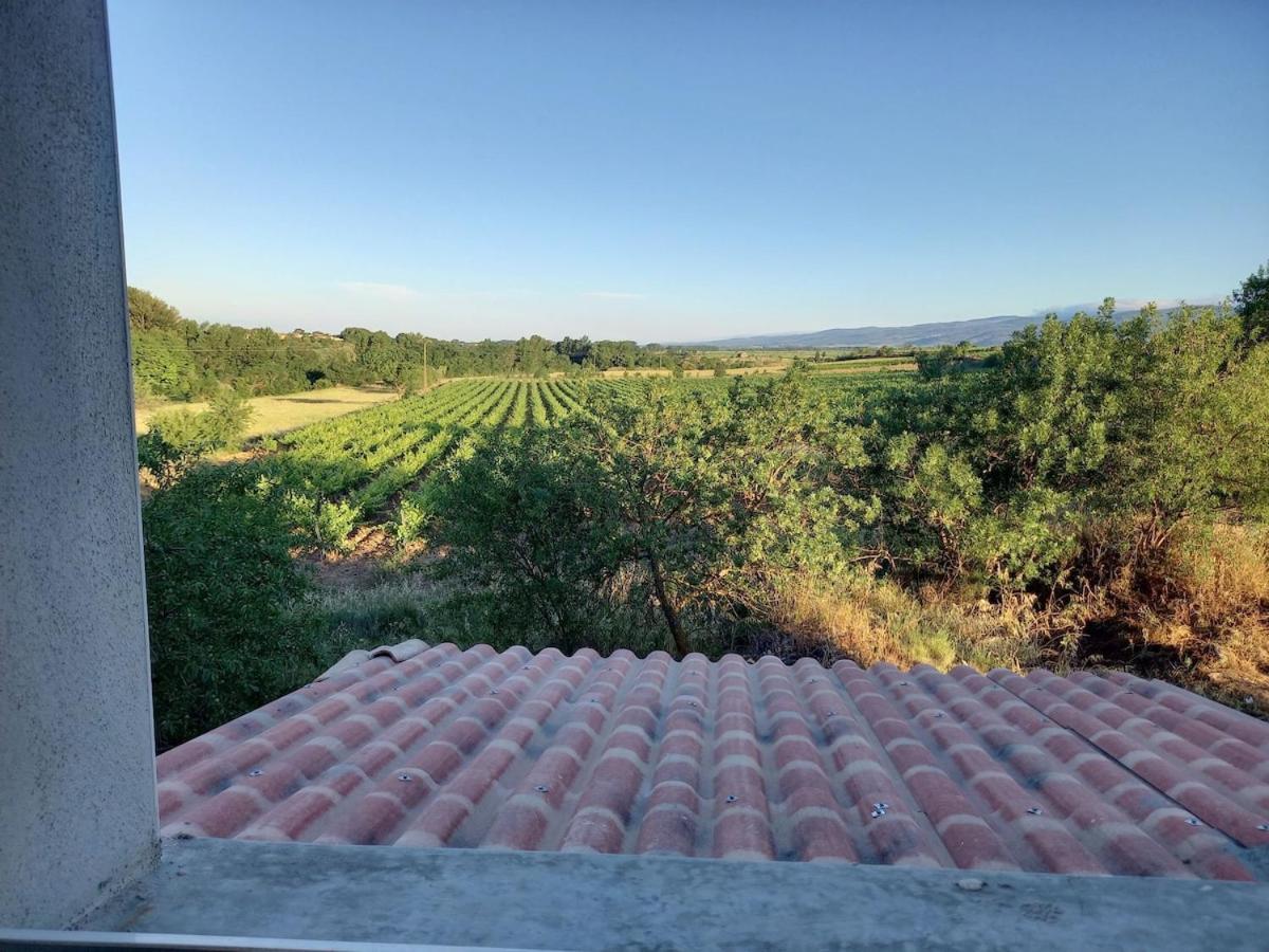Domaine Saint Augustin Villa Rieux-Minervois Luaran gambar